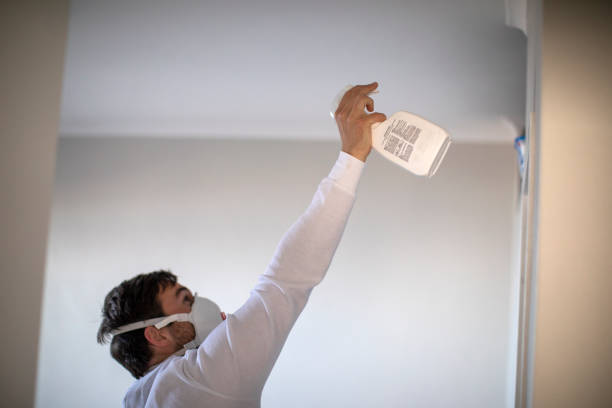 Best Basement Mold Remediation in Mino Tassajara, CA